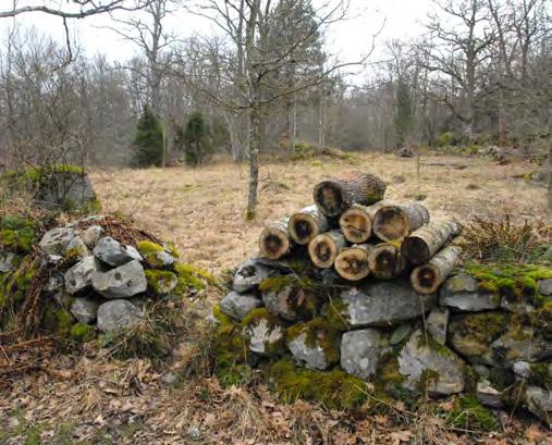 DEL 3: Ronneby kommuns grönstruktur ett basnät av stigar men med ett kompletterande nät kan variation skapas och fler delar öppnas upp.