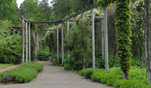 vandringar över skogen ner till Bussemålaviken och Ekenäs Karön. Gigantiska parkrhododendron som speglar sig i vattnet just intill brantens fot.