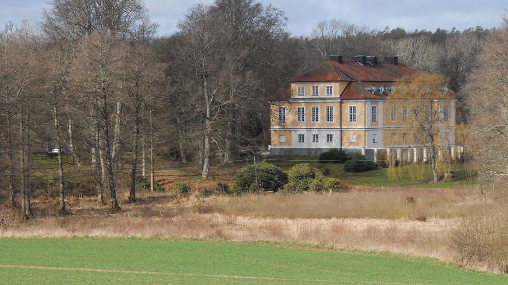 Samhällenas grönstruktur: Kustbygd Johannishus åsar och Johannishus slott De tre vägarna sammanstrålar omkring två kilometer från slottet och avslutas med en infartsallé som idag består av
