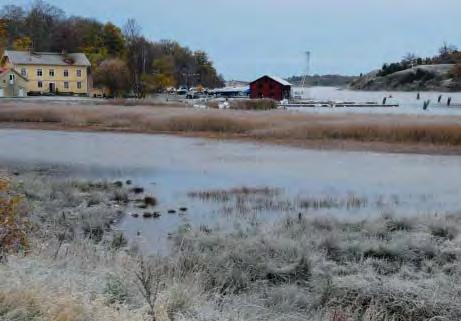 Järnaviks bad är ett av få ställen i Blekinge som bjuder på äkta klippbad. Vid havsbadet fi nns även sandstrand och en speciell ned- och uppgång för funktionshindrade.
