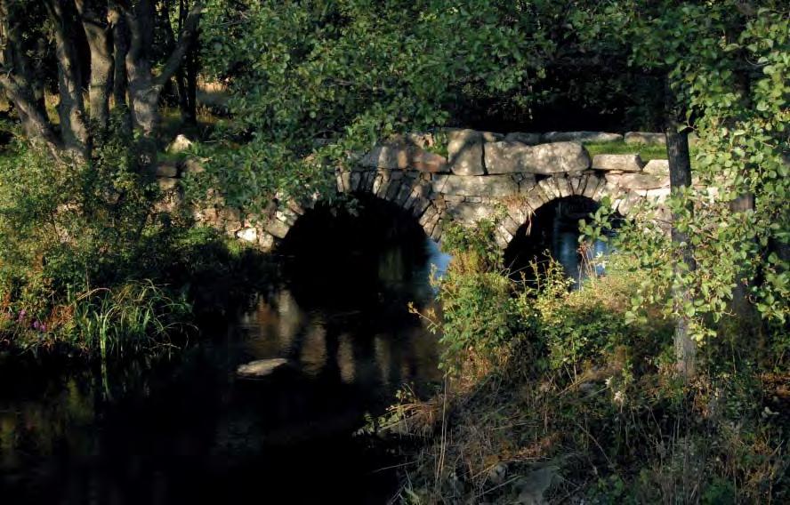 DEL 3: Ronneby kommuns grönstruktur VIERYD Miljön kring åmynningen är värd att vårda så att såväl kommuninvånare som alla de turister som besöker platsen kan få glädje av dena idyll.
