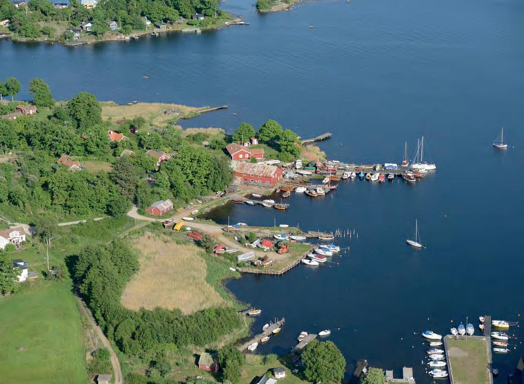 Den visuella havskontakten i Saxemara bergränsas av en tät trädridå och stora