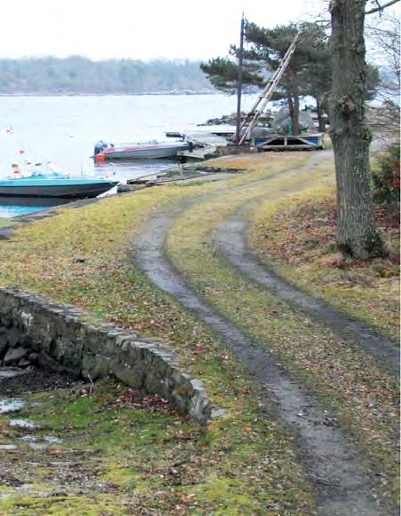 Genom att stenbrottet är så torrt och kargt tar det lång tid innan träden invaderar men med