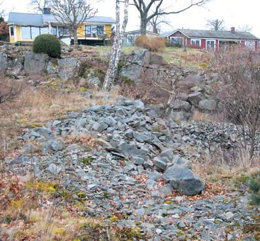 Vill man ha det tidigare stenbrottet mer öppet bör man ge sig in just i pionjärskedet och