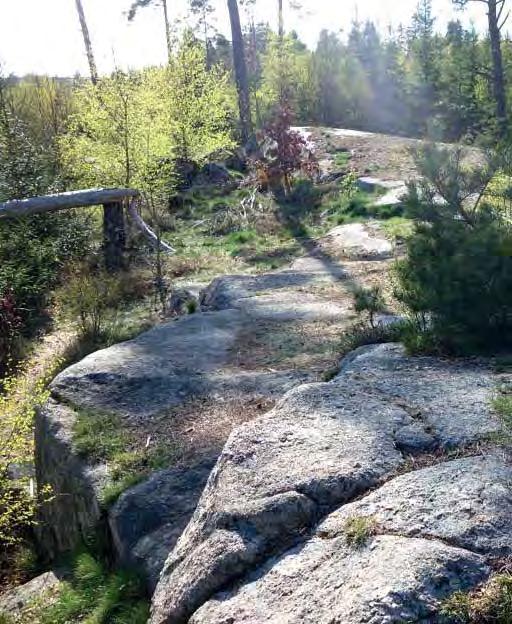Stenmurarna verkar samtidigt som karaktärsgivare och rumsavgränsare och är viktiga att vårda och frilägga.