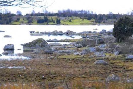 Samhällenas grönstruktur Listerby skärgård är mycket ekens och enens landskap och betet präglar skärgården.
