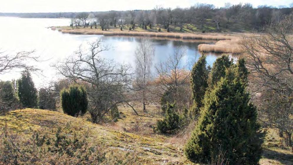 Det krävs båt för att ta sig till öarna, men de rymmer fl era naturliga hamnar och är fl itigt besökta av