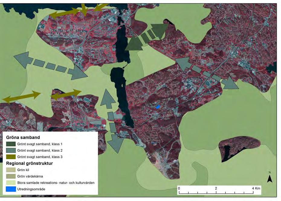 Planområdet utgör en utlöpare av ett större barrskogsområde som ligger i anslutning till Hanvedenkilen.