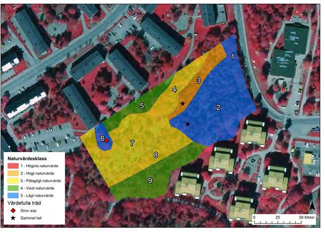 40-38 BOTKYRKA KOMMUN Antagandehandling 10 [25] Samhällsbyggnadsförvaltningen 2016-06-21 Planenheten Naturvärden I samband med planläggning har en naturinventering och översiktlig spridningsanalys