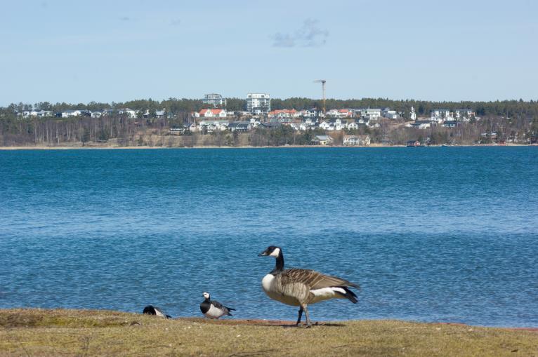Solberget Solberget är ett bostadsområde i Vesterkalmare i Jomala kommun på Åland. Det har en fantastisk utsikt över staden Mariehamn badande i kvällssol och havsviken Slemmern.