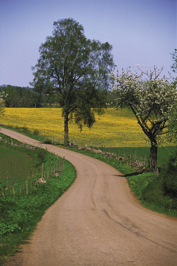 Klass 1 - God Det ligger inget, eller nästan inget löst grus på vägen men