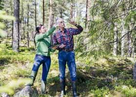 Artskydd Artskyddsförordningen kan innebära att blotta förekomsten av vissa fågelarter gör att man inte får avverka den aktuella skogen.