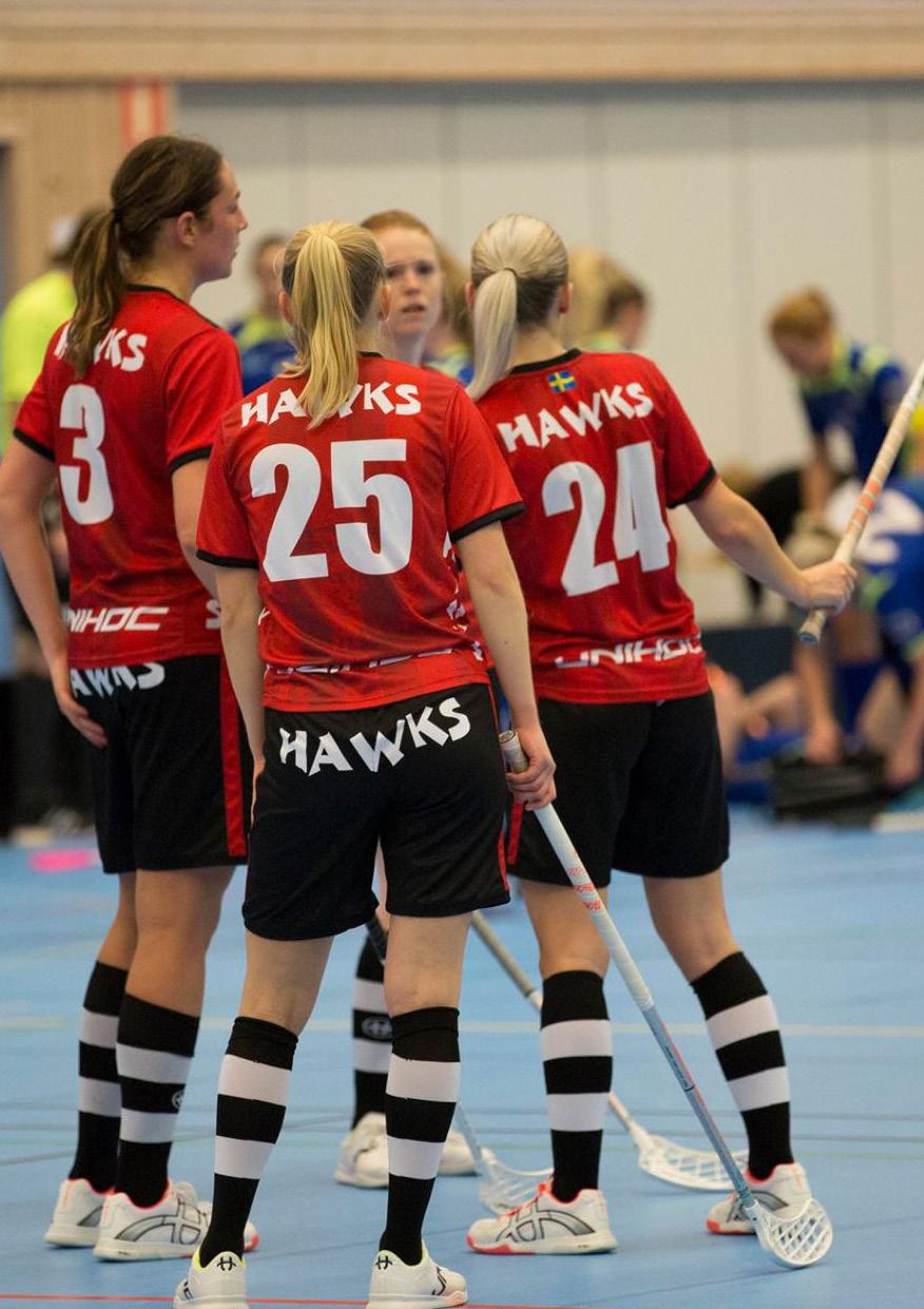 MATCHPROGRAM Hässelby DAM 2017/2018 Foto: Petra