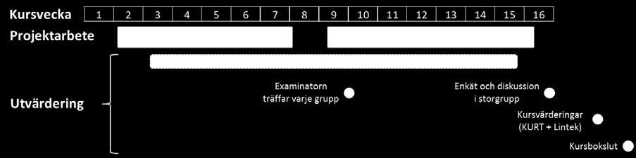 10(21) Utvärdering av 2015 års kurs Underlag för utvärderingen är dels kursvärderingar i LiU:s officiella system KURT 2, dels enkät och gruppdiskussion vid den avslutande föreläsningen (för detaljer,