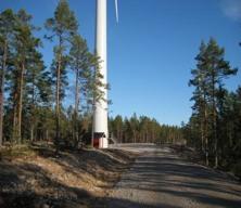 Markskiktet med dess vegetation kommer inte att påverkas mer än marginellt.