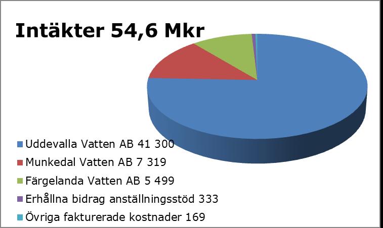 Ekonomi Omsättningen har under året uppgått till 55 Mkr (fg år 54 Mkr). Bolagets materiella anläggningstillgångar redovisas enligt årsbokslutet till sammanlagt 0,5 Mkr (fg år 0,5 Mkr).