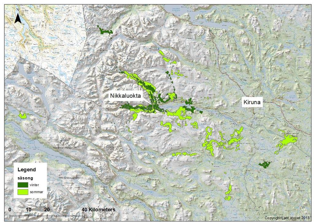 Figur 4. Sommar - och vinterhemområden för GPS-märkta älgar i Nikkaluoktaområde 2017/2018.
