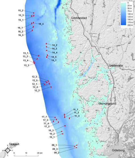 Figur 2. Karta som visar transekternas placering. Bakgrundskarta ArcGis och djupkarta Baltic Sea Bathymetry Database (BSBD).