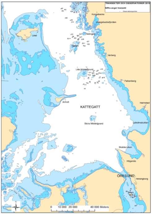 Totalt besöktes 50 transekter mellan Kungsbacka i norr till Landskrona i söder (Fig. 1). Figur 1.