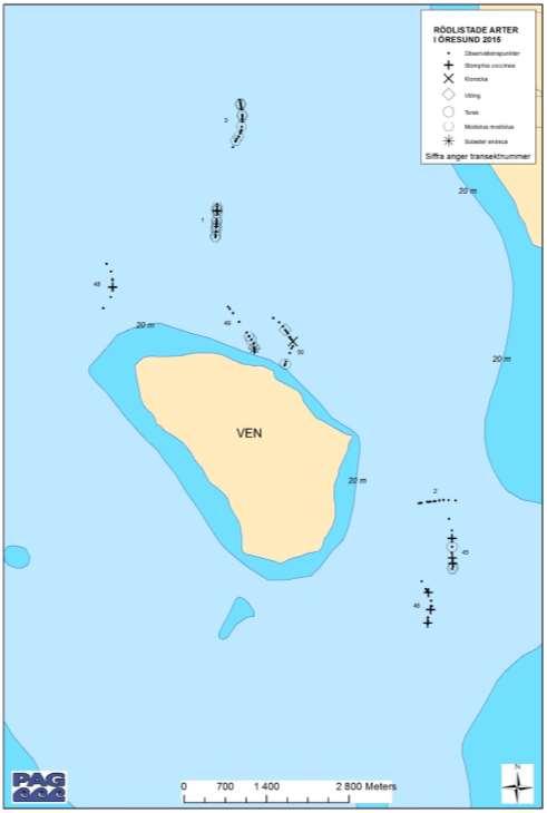 4.3.3. Öresund Figur 4.