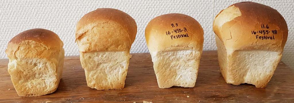 Eng Wide Om sortval & att baka Falltals- och råproteinanalyser kan utföras mycket tidigt i handelskedjan för att definiera kvalitet.