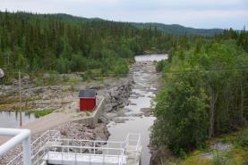 Sjoutälven nedströms dammen (Torrlagd). Det finns gott om orm i området.