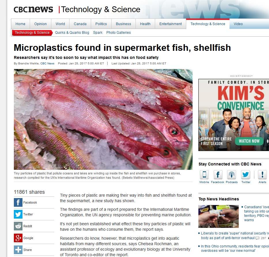 Senaste larmet Rochman m. fl. Anthropogenic Debris in Seafood: Plas=c Debris and Fibers from Tex=les in Fish and Bivalves Sold for Human Consump=on.