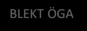 OBS Symptom vid retinal sjd