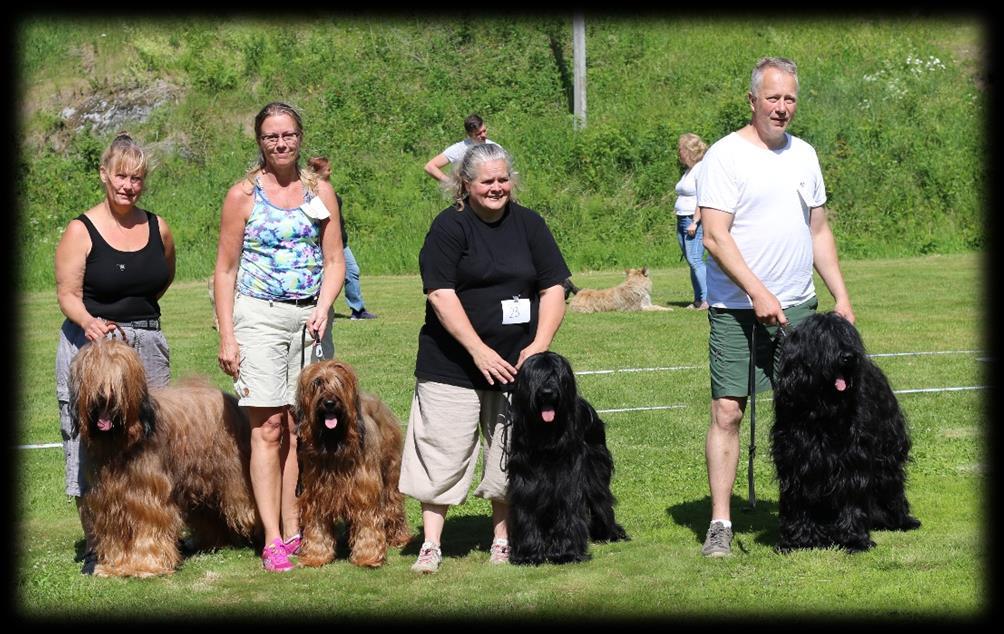 Kennel Anamma Nord 2 kombinationer Grupp m. tydlig könsprägel Huvuden m. bra prop. Bra överlinjer Ngt. brant kors Bra vinkl.