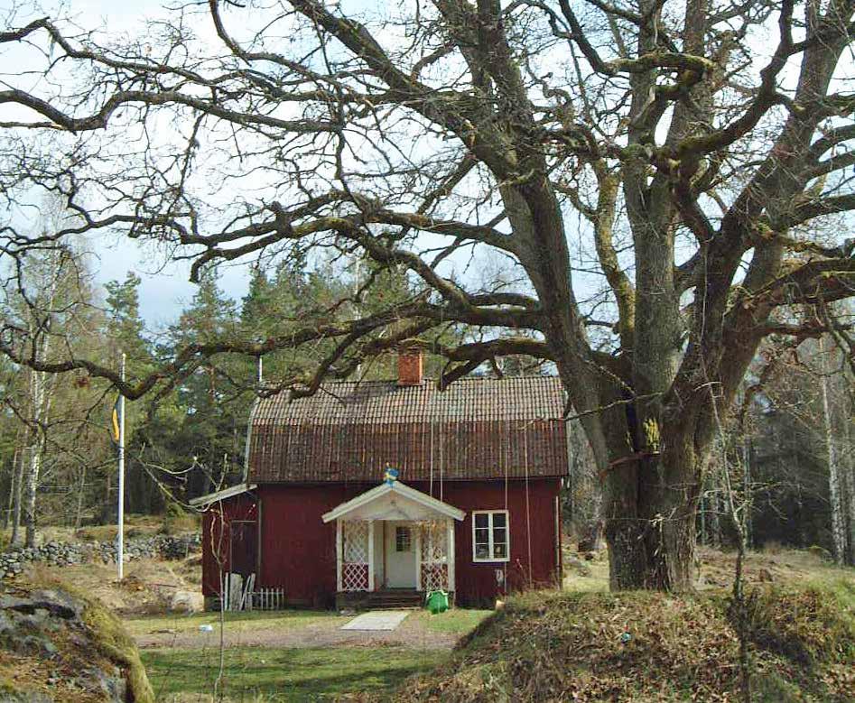 Om du funderar på att ta ner en gammal ek, kontakta först Länsstyrelsen! Vad innebär generellt biotopskydd?