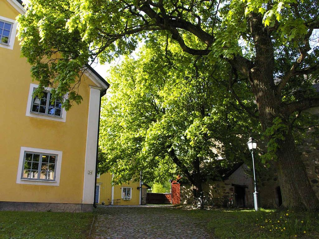 Finns det farliga träd? Träd åldras och drabbas av sjukdomar, precis som oss människor. Ett träd som börjar komma in i livets slutskede kan få svårt att försörja alla grenar med vatten och näring.