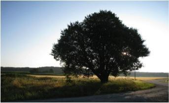 Miljö Upplands-Bro kommuns naturområden är äl ärd att ärna om. Vi har områden som är a största ikt för flora, fauna och rekreation.