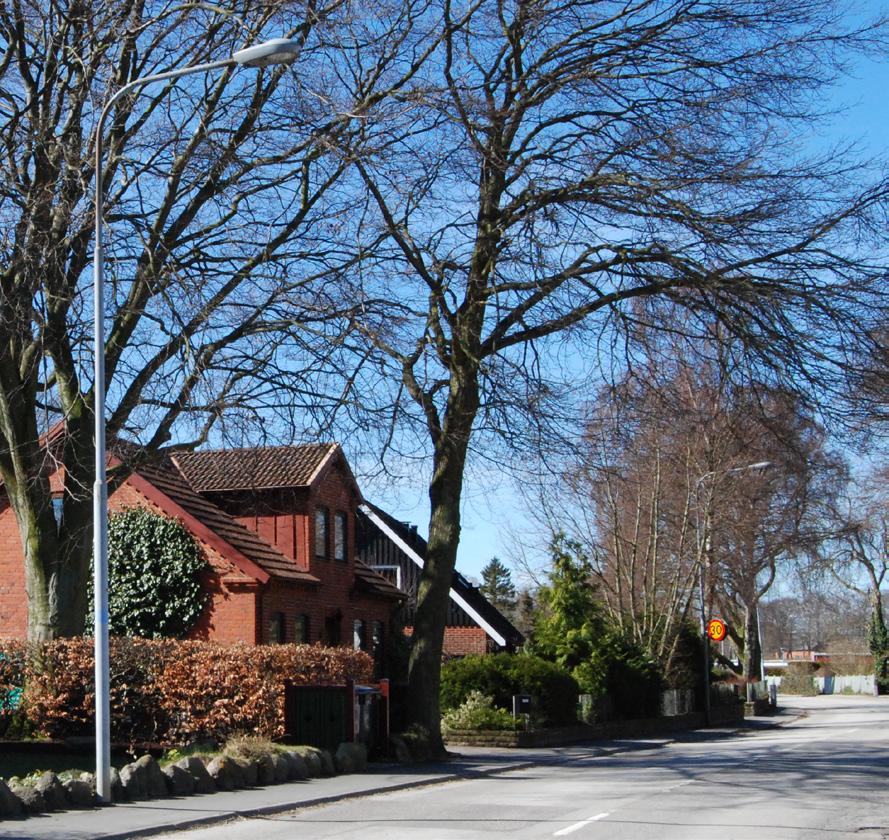 Gammal och ny gatumiljö i Skegrie Trafikstruktur Skegrie nås i huvudsak via motorvägen (E6/E22) som går direkt väster om orten.