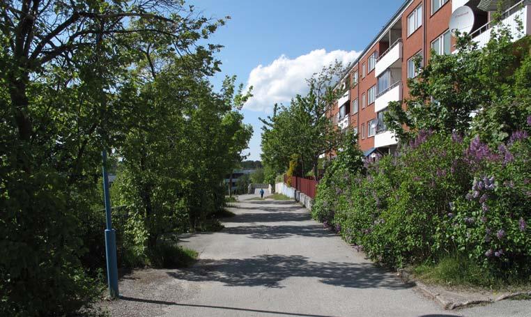 AALYS Parken har stor potential med sitt söderläge mellan husen. Både bollplanen och pulkabacken är väl använda ytor.