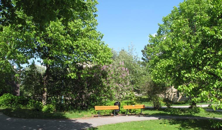 Det lugna läget lämpar sig bra för en mindre småbarnslek, något som saknas i stadsdelen. Parken har potential att bli en omtyckt park.