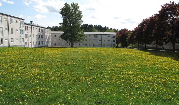7. FARIGEGÅGE STORLEK: Ca 0, Ha KARAKTÄR: Parkkvarter SOCIALA VÄRDE: Pulkaåkning Utveckla nuvarande karaktär och värden. Den stora öppna gräsytan är ett annorlunda och oväntat inslag i Tensta.