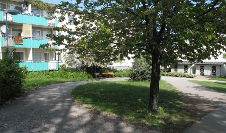 AALYS Platsen i söderläge används mest som passage, framförallt den breda upptrampade stigen, men bänkarna utmed
