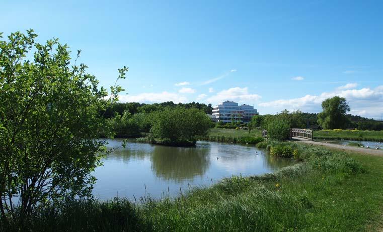 och pulkaåkning. Spångaån/Bällstaån rinner genom Hjulsta koloniområde i dalens västra del, och bildar Hjulsta Vattenpark, två dammar intill varandra med omgivande gräsytor och gångvägar.