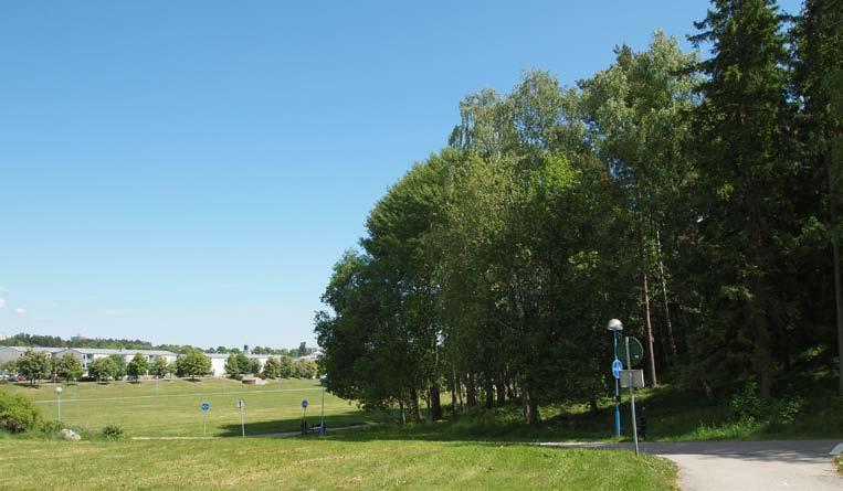 4. SOLHEMSSKOGE STORLEK: Ca 8 Ha KARAKTÄR: aturområde / fornminnesområde SOCIALA VÄRDE: Grön oas, naturlek, ro, promenader, utsikt, pulkaåkning KULTURHISTORISKA VÄRDE: Fornlämningar Bevara nuvarande