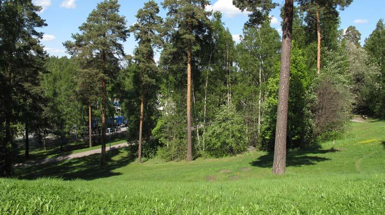 5. HJULSTASKOGE STORLEK: Ca 5, Ha KARAKTÄR: aturområde SOCIALA VÄRDE: Grön oas, promenader, utsikt Bevara och utveckla nuvarande karaktär och värden.