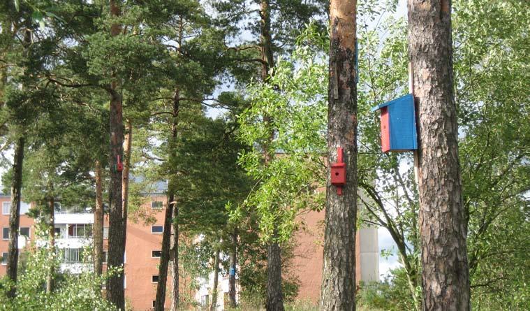 9. HIDIGEHÖJDE STORLEK: Ca 0,5 Ha KARAKTÄR: aturkvarter SOCIALA VÄRDE: Grön oas, naturlek Bevara och utveckla nuvarande karaktär och värden. Upprätthåll nuvarande skötselnivå.