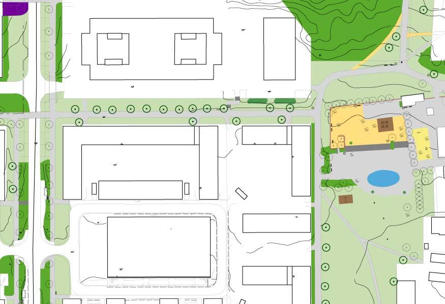 6. KÄMPIGEGÅGE STORLEK: Ca 0,3 Ha KARAKTÄR: Parkstråk SOCIALA VÄRDE: Promenader Bevara och utveckla nuvarande karaktär och värden. Kämpingegången kantas av lönnar och friväxande buskar.