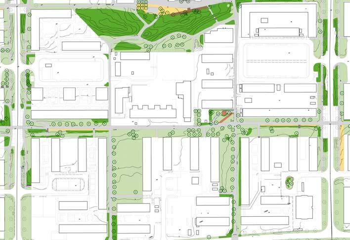 8. GULLIGEGÅGE STORLEK: Ca 0,9 Ha KARAKTÄR: Parkstråk SOCIALA VÄRDE: Promenader Bevara och utveckla nuvarande karaktär och värden. Syrénbuskage kantar Gullingegången. Hagstråket 3.