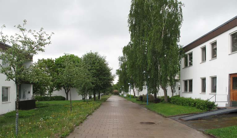 30. SVIIGEGÅGE STORLEK: Ca 0,3 Ha KARAKTÄR: Parkstråk SOCIALA VÄRDE: Promenader Bevara och utveckla nuvarande karaktär och värden. Svinningegången är ett lummigt stråk.