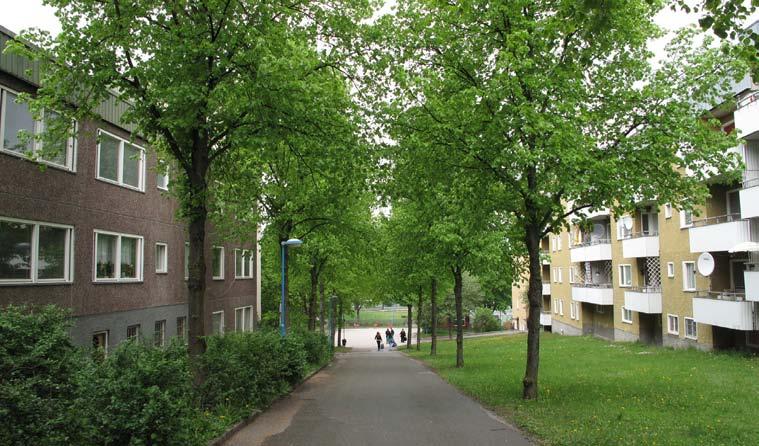 3. ÅVIGEGÅGE STORLEK: Ca 0,3 Ha KARAKTÄR: Parkstråk SOCIALA VÄRDE: Promenader Bevara och utveckla nuvarande karaktär och värden. Lindallé 