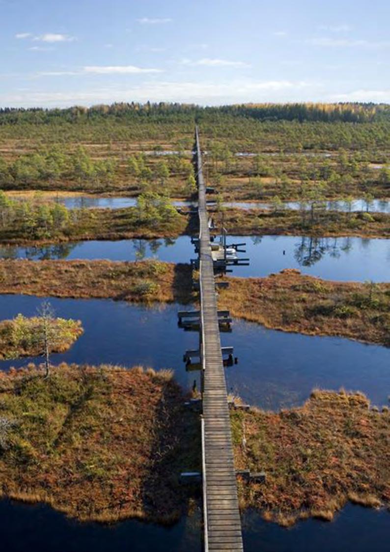 till de fågelrika områdena över mot Ösel. Vi kommer att göra ett stopp här innan vi kör till vårt nästa hotell, Pilguse.