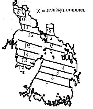 Ekoräkning av fisk Underlag Underlag till denna undersökningstyp av erhållits från Per Nyberg, Fiskeriverket i Örebro samt från en statistiska utvärdering av metoden (Hansson 1995).