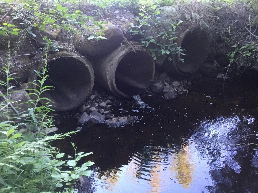 Figur 1. Vägtrummor vid Hamrebäcken sett nedifrån före åtgärd.