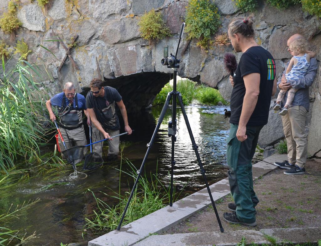 Ulva kvarn färdigställdes under 2017. Därmed är det möjligt för fisk att vandra mellan Mälaren och Ekeby kvarn nära Storvreta, där det närmast uppströms belägna vandringshindret finns.