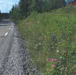 En lägre buskplantering fungerar som bländskydd från mötande trafik och skapar en behagligare trafikupplevelse. Se sektion s.